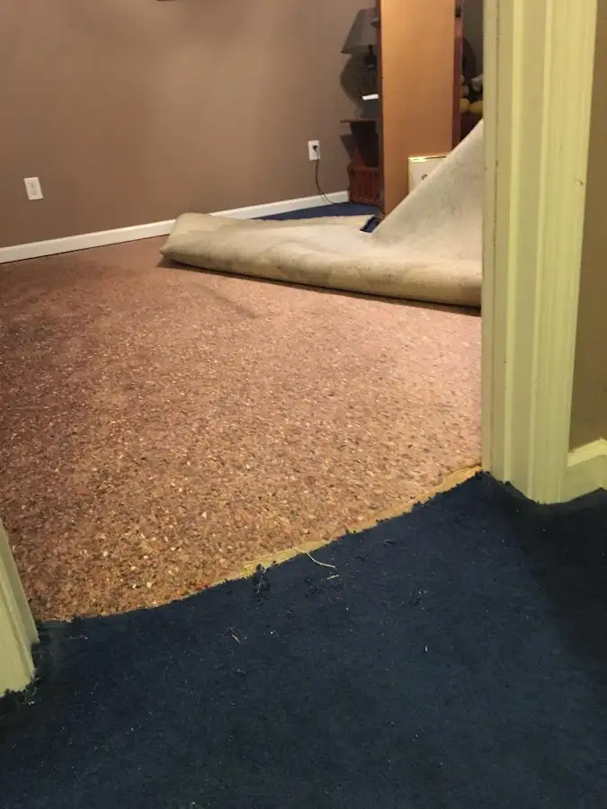 Carpet pad removal revealing water damage during Water Mitigation Services in Bernards