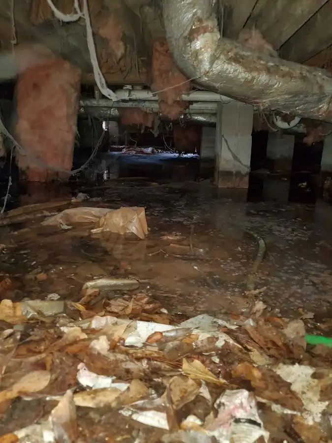 Crawl space flood assessment for Leak Detection & Repair in Bernards