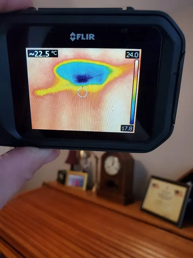 Thermal imaging inspection for water damage in Bernards